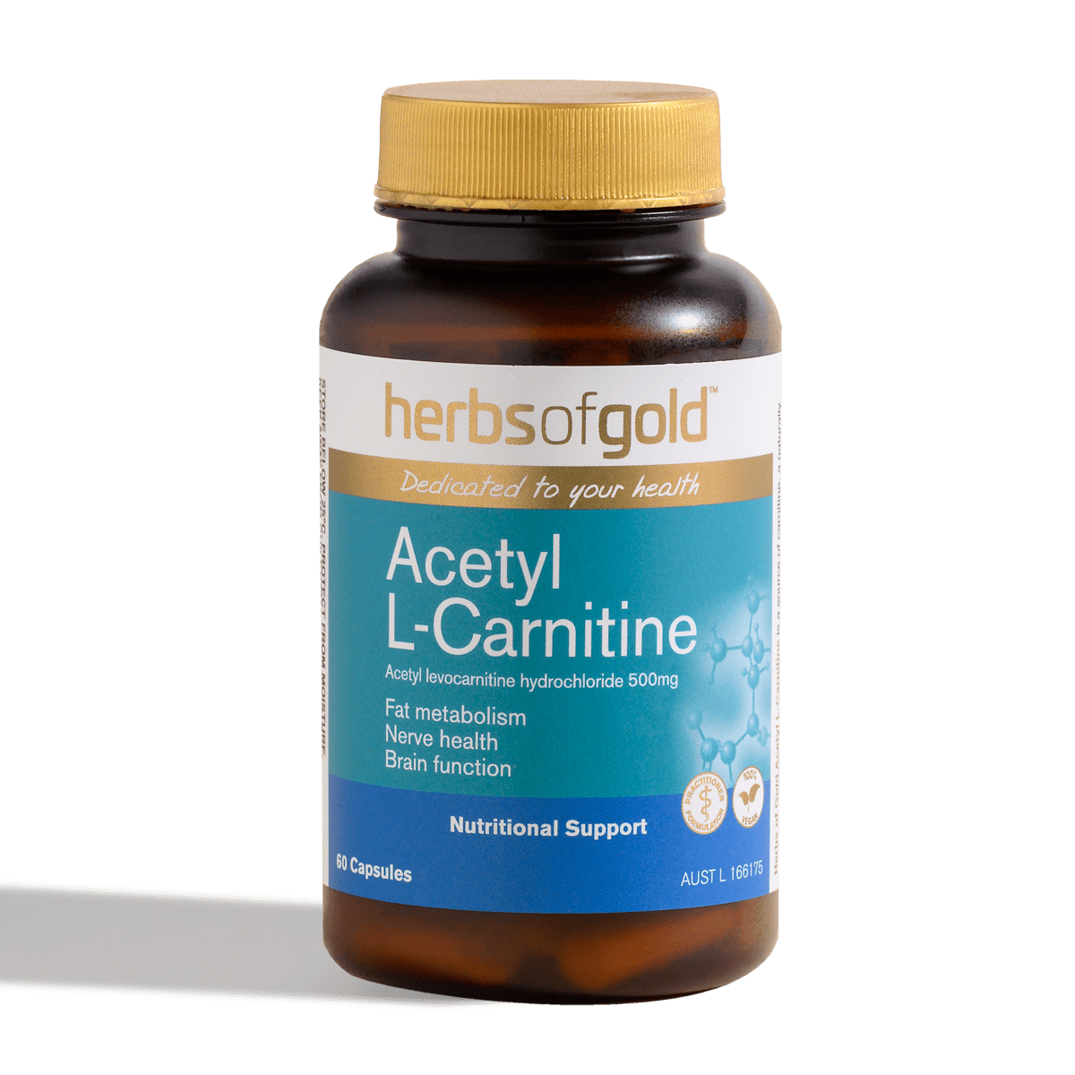 Acetyl L-Carnitine