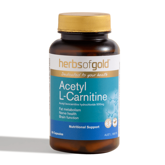 Acetyl L-Carnitine